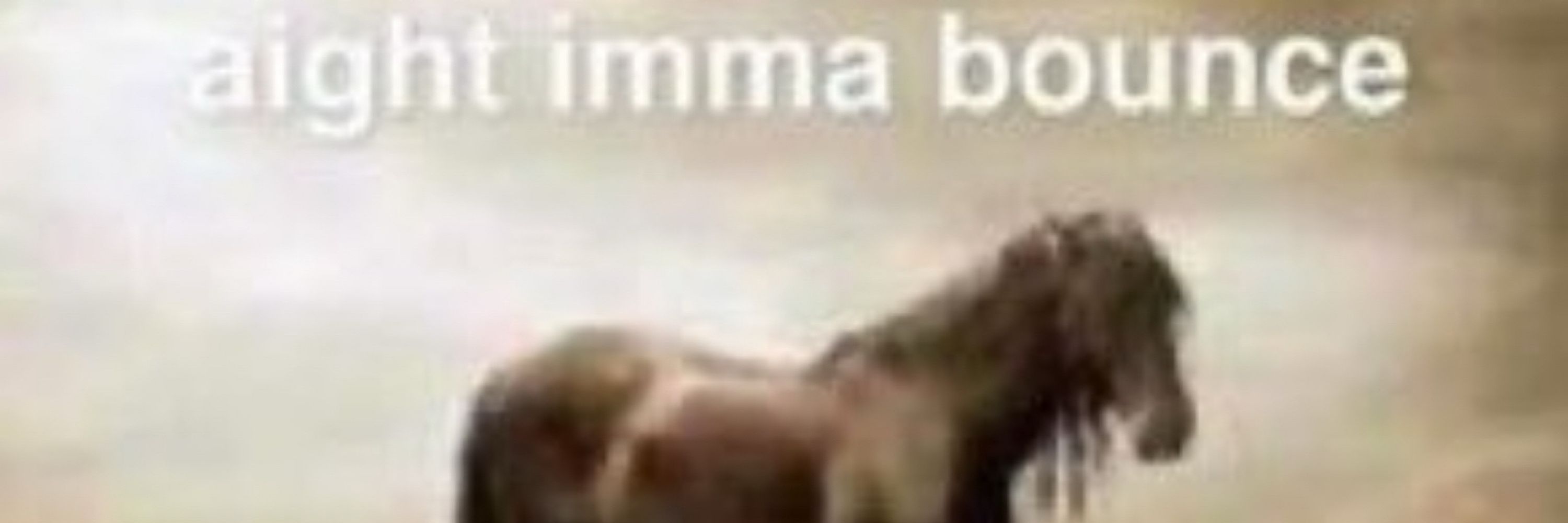 *Vine Boom sfx*