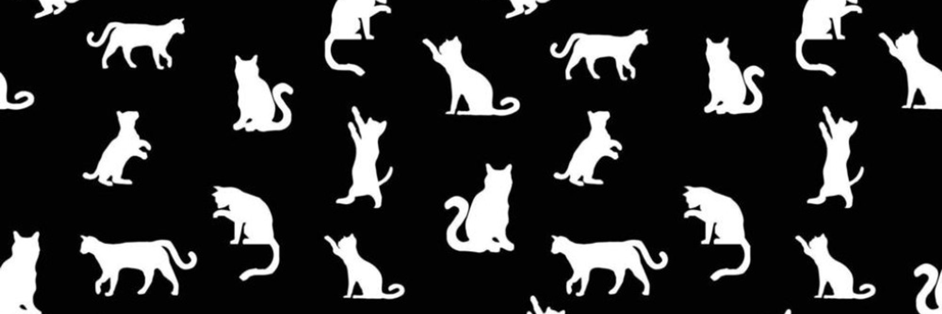 Jawnycat
