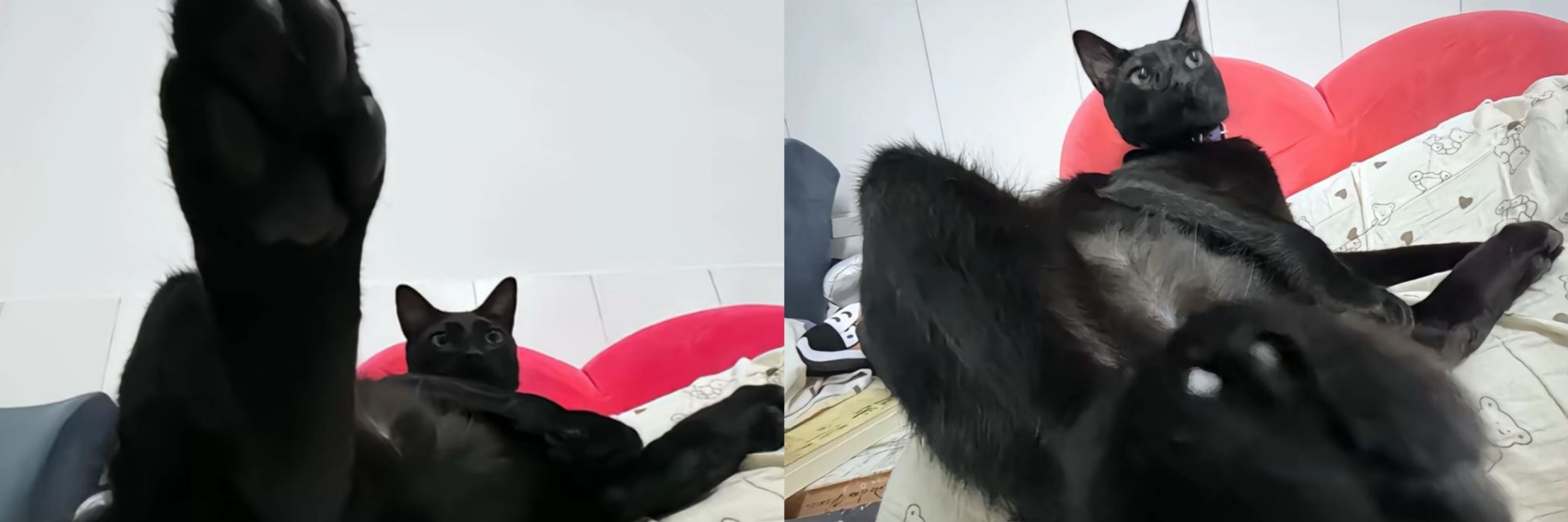 껨더