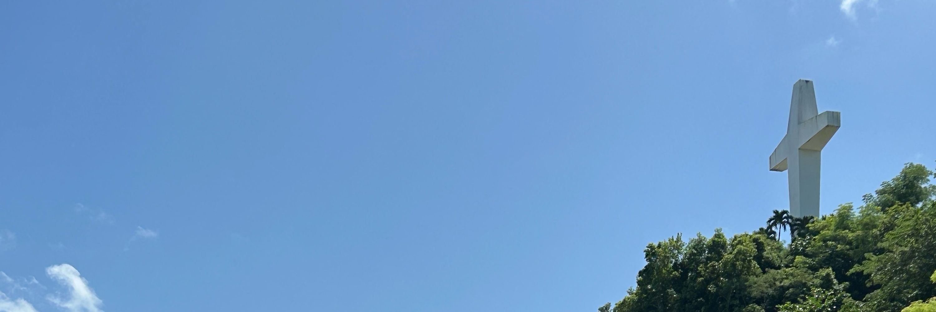 GeneralPurple