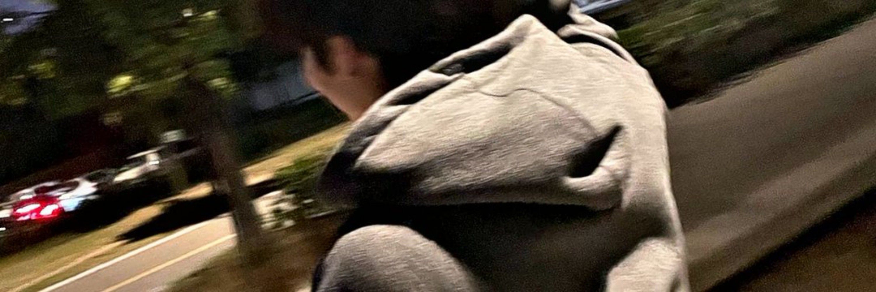 DWI