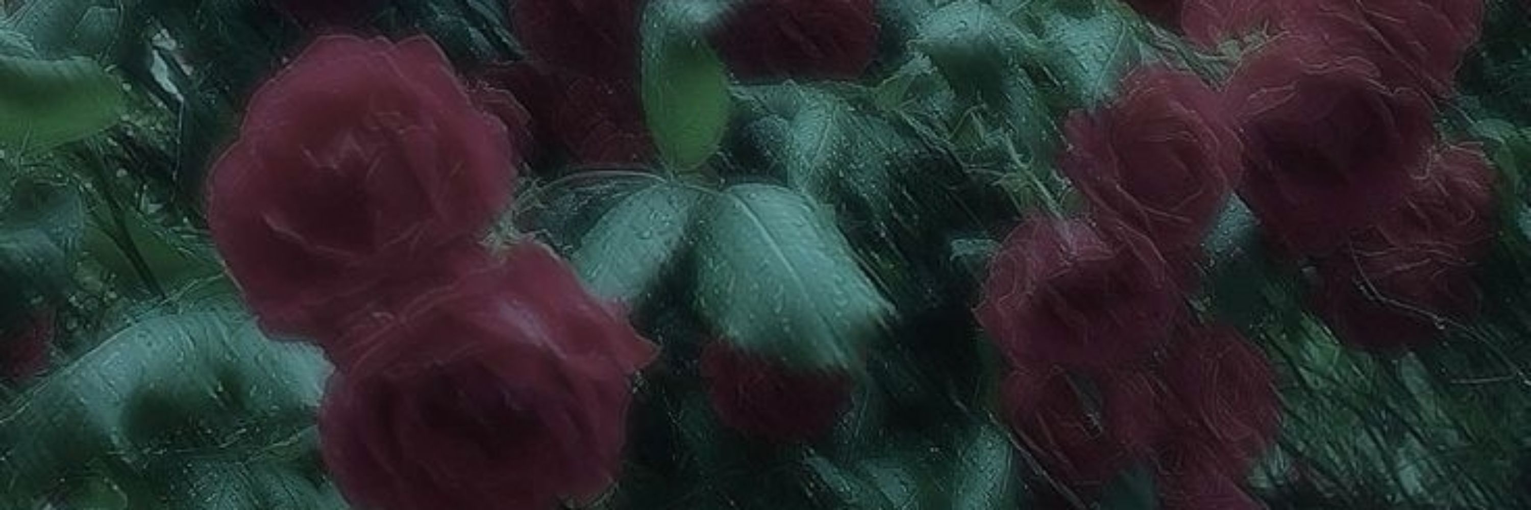 𓏲۵ 𝐸𝑙𝑖𝑎𝑠 ​᭄
