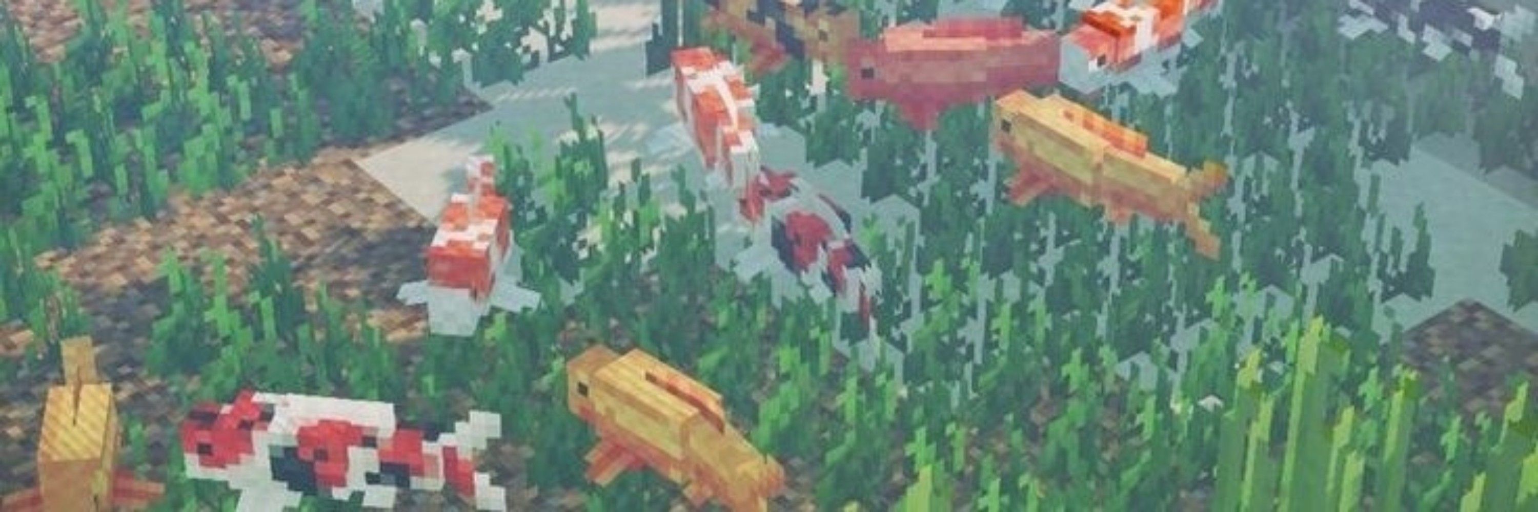 vih
