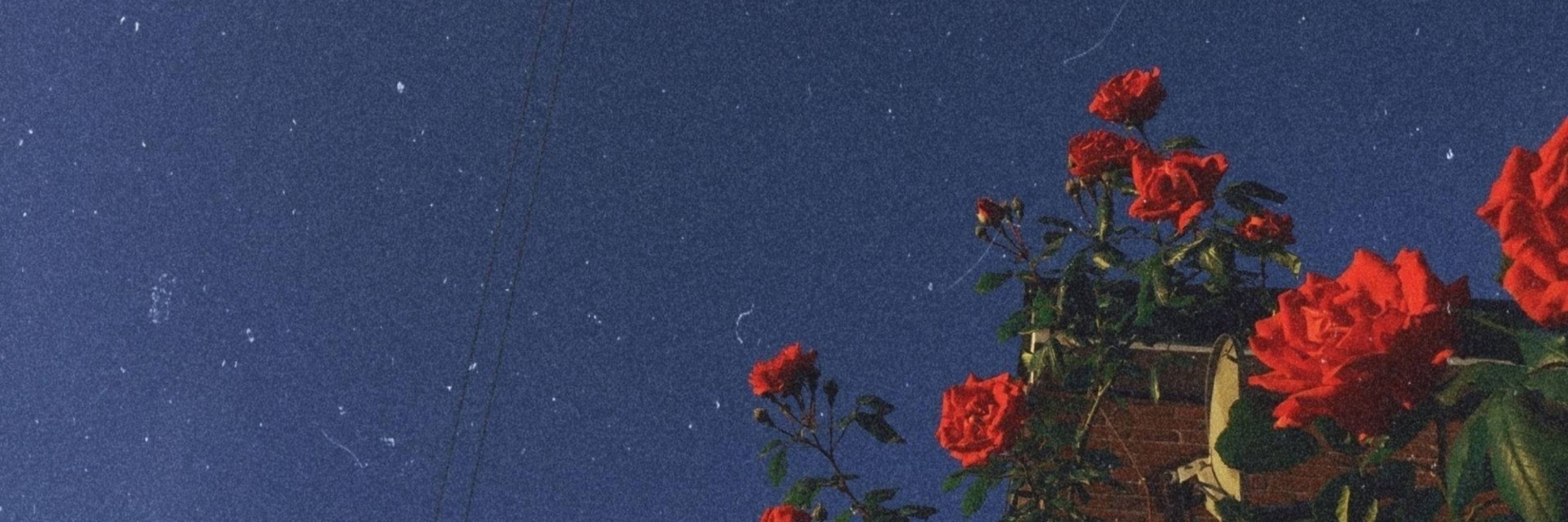 dümbsţräwbërrybïţcĥ🍓
