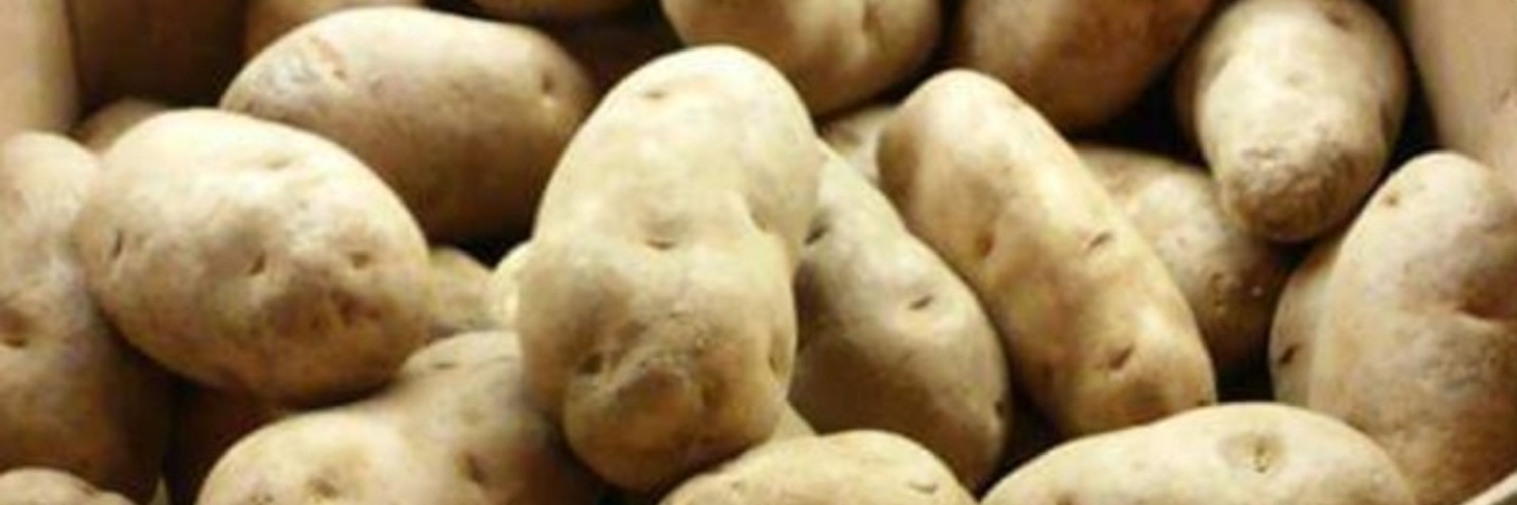 TheTater @borkborkbork