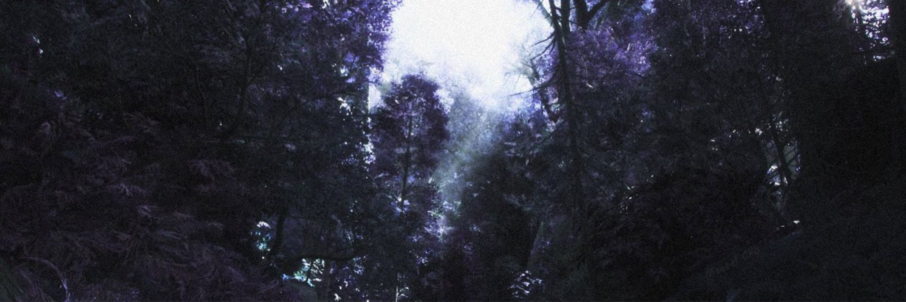 𓆰 ː 𝐂𝐈𝐃