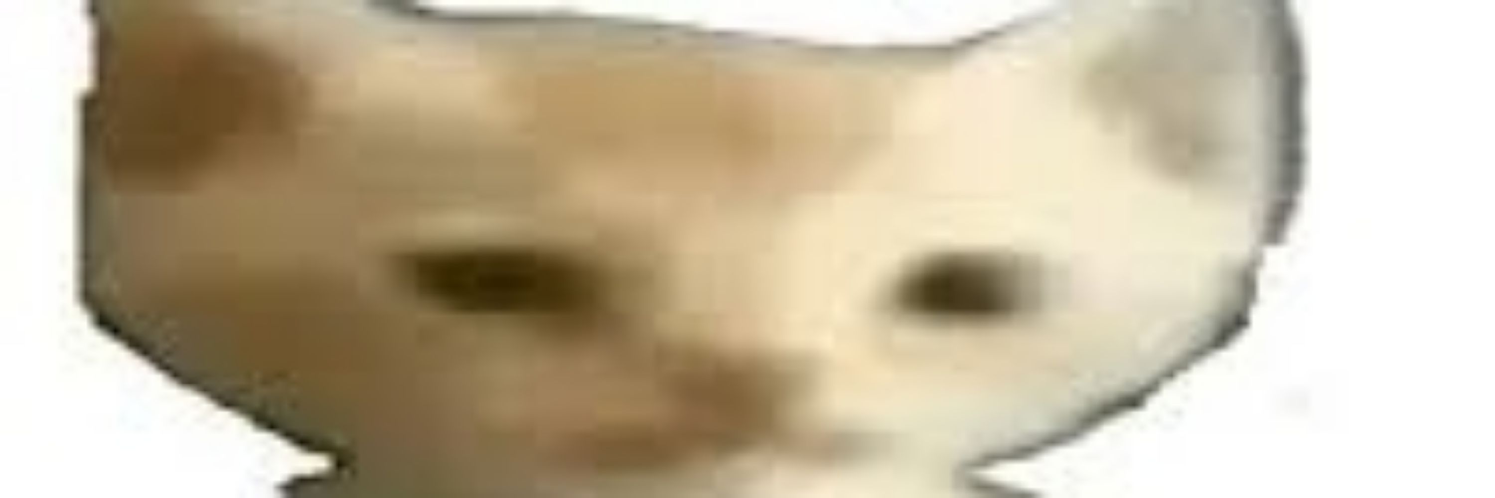 Eoguigas