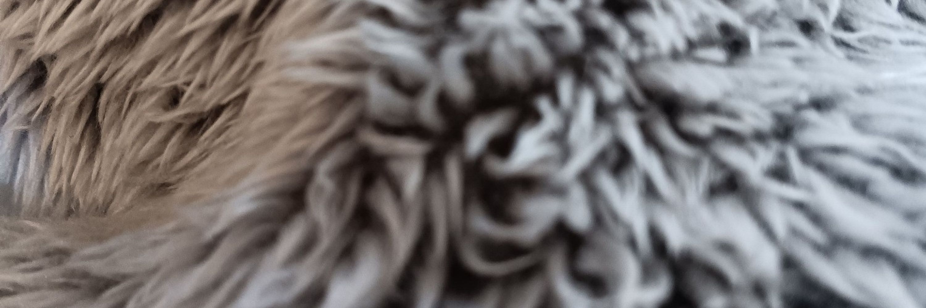 Princess S | nsfw