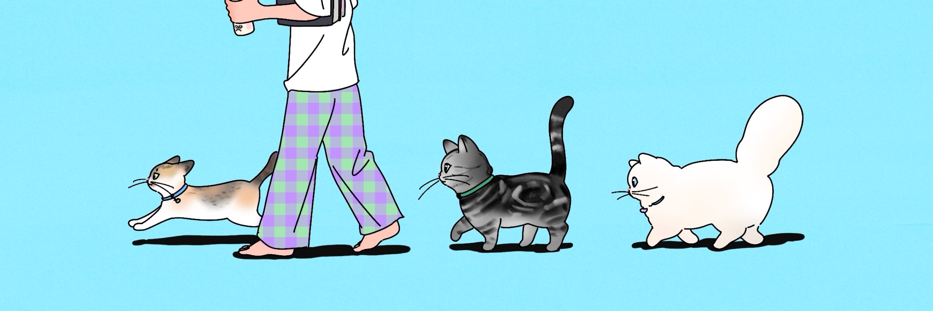 roomecat