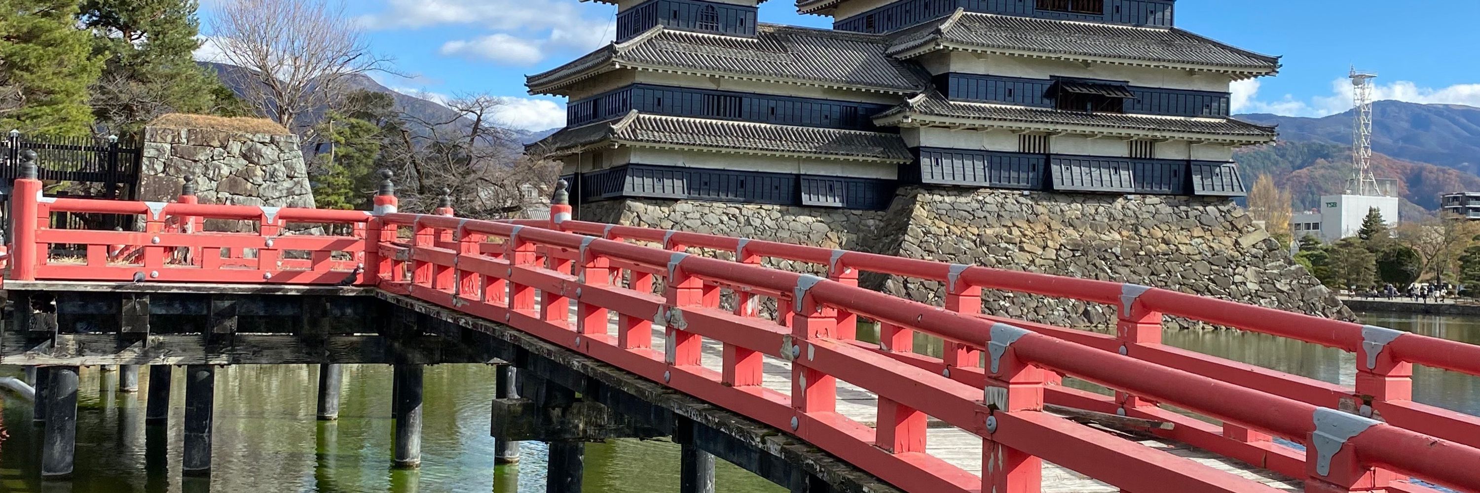 ふじこの避難場所？