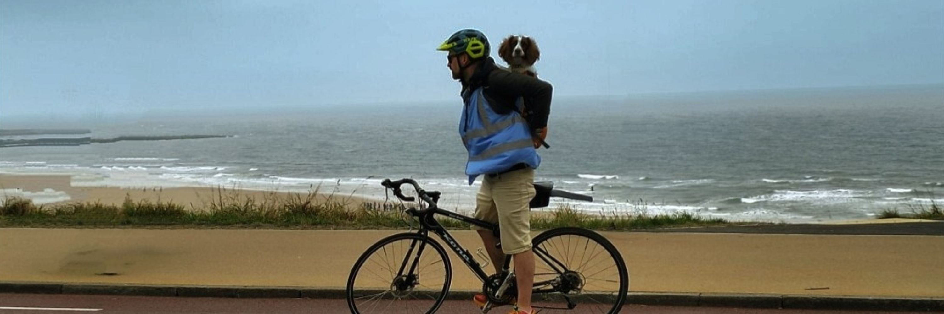 Dave Majarich 🚲🐶