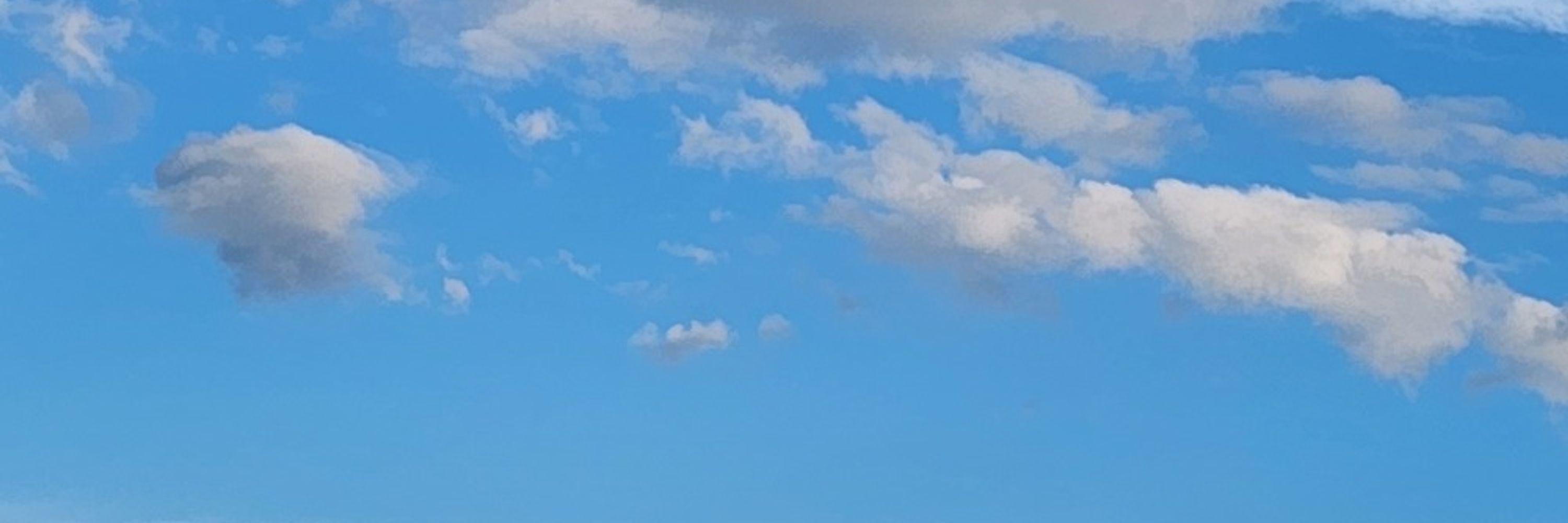 つっきぃ