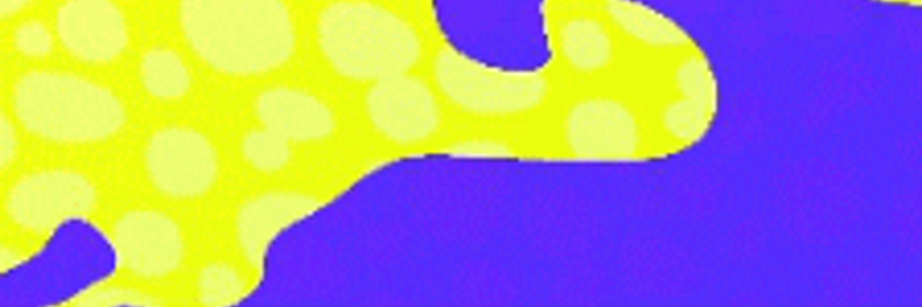 Needletail