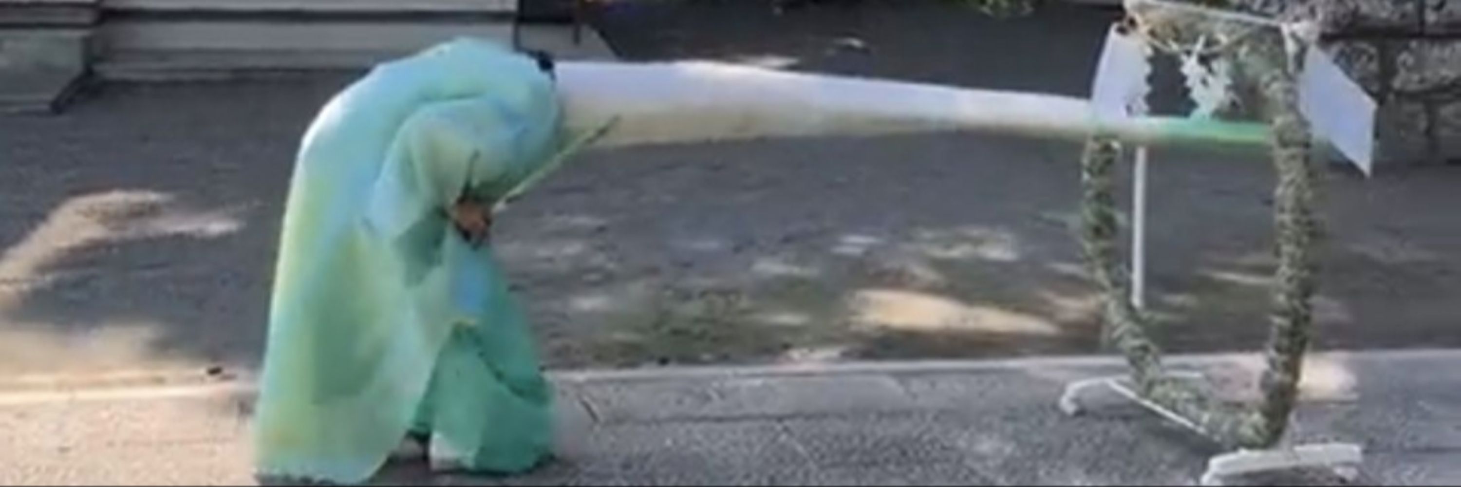 はったりくん🦀