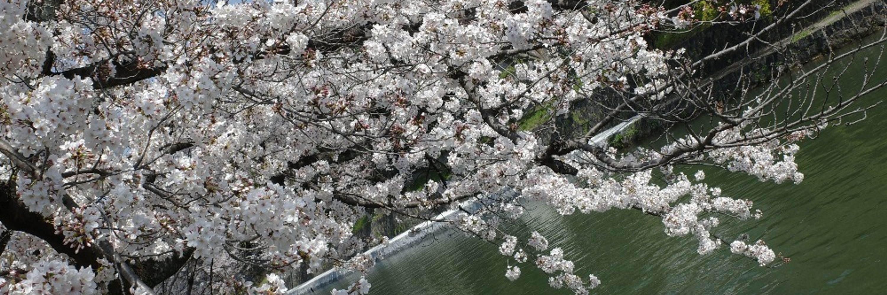 遠野家使用人