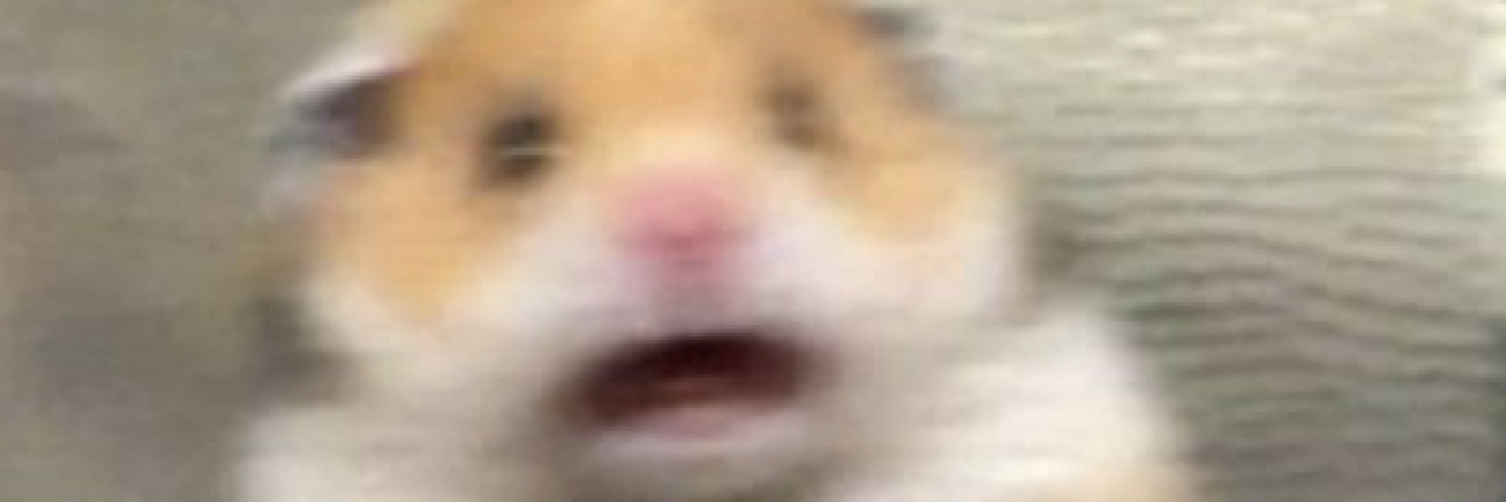 dea🐹