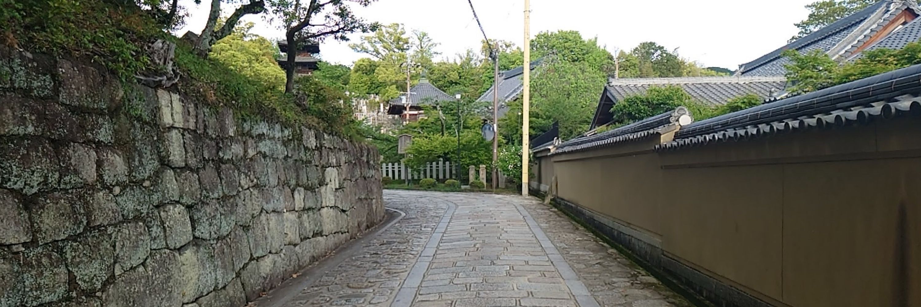 小鳥遊紗夜
