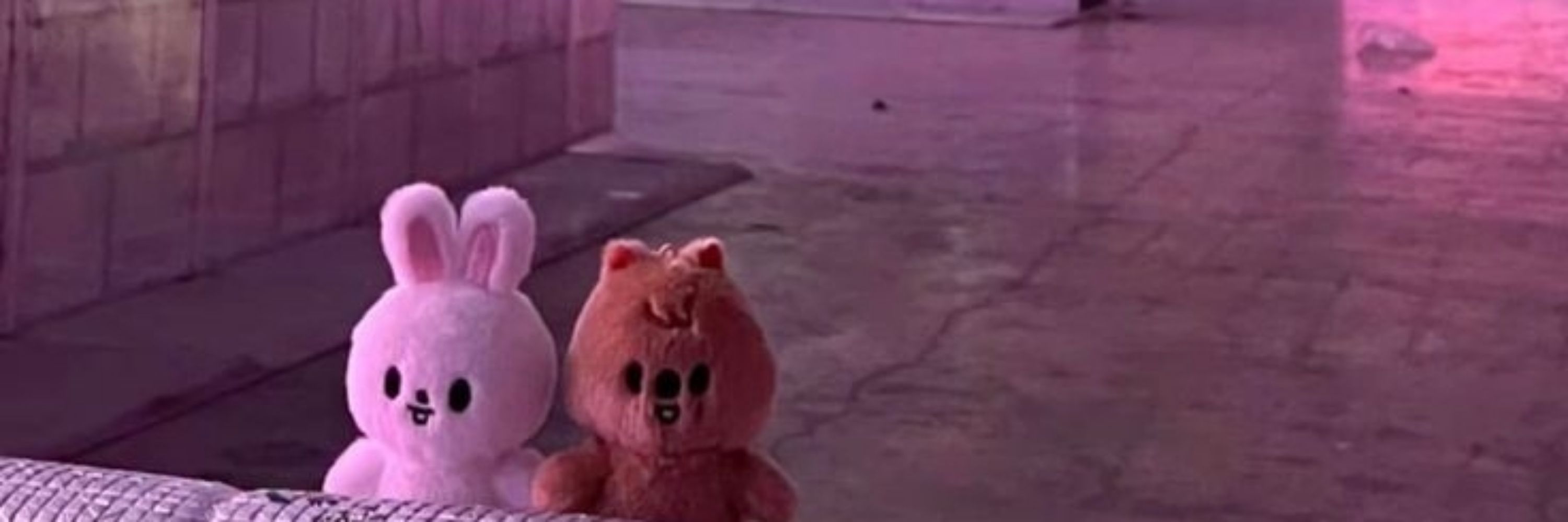 ✧⁠*⁠。Biahhhhhhh ♡💚minsung lover🩷♡