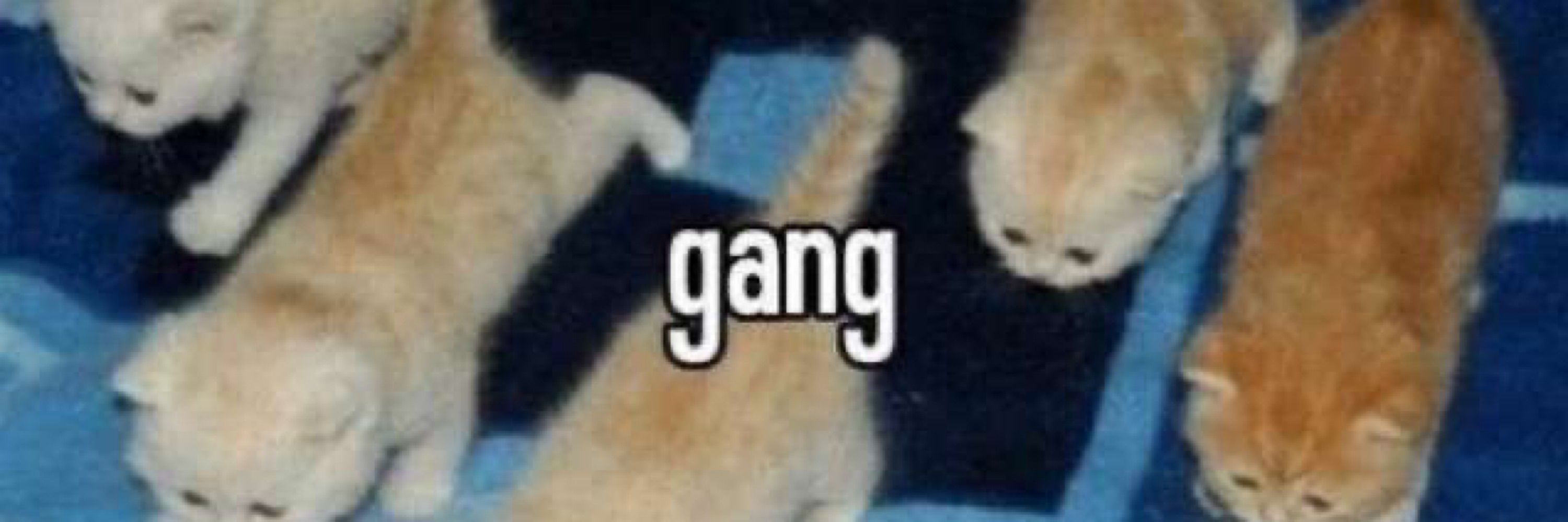 ⵣ
