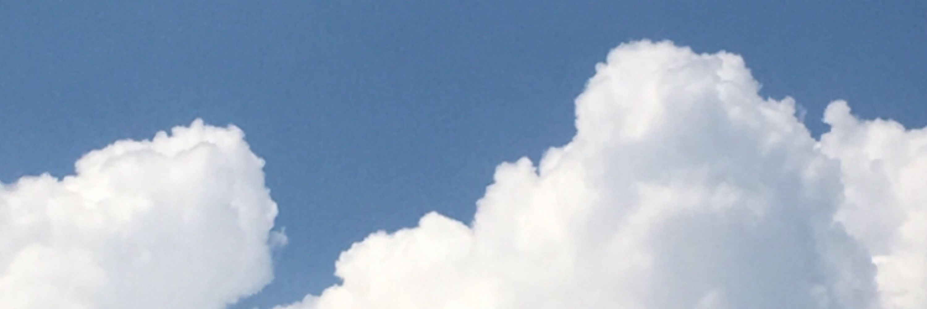 きいろ
