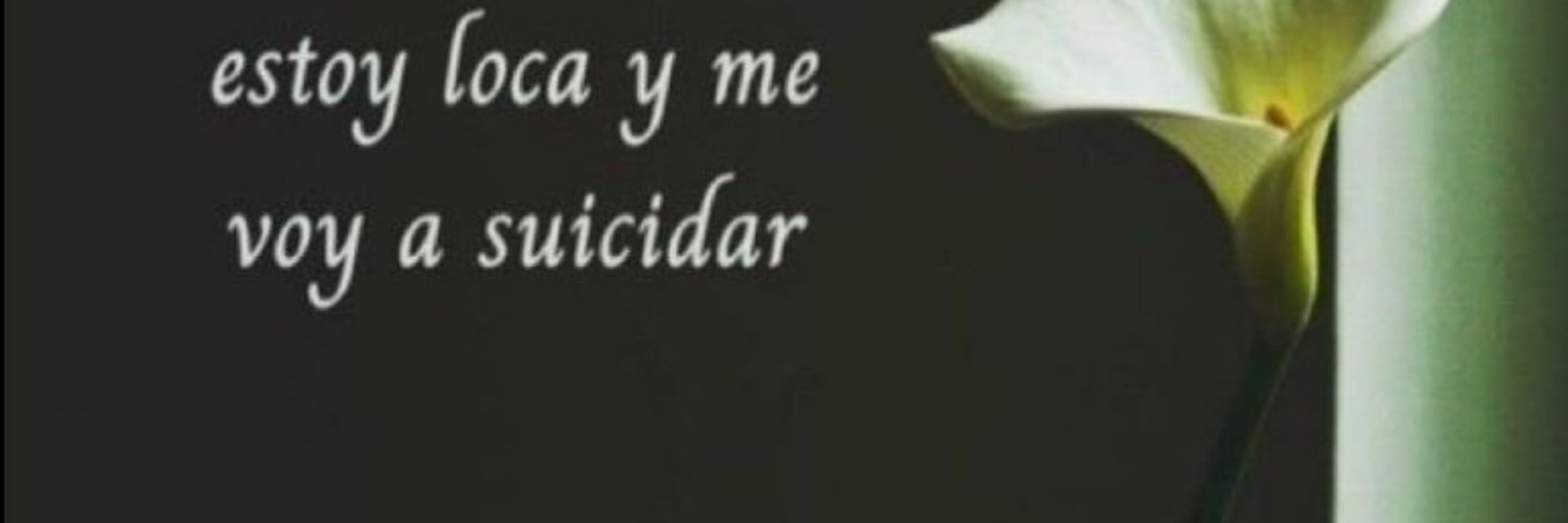 marcelle 