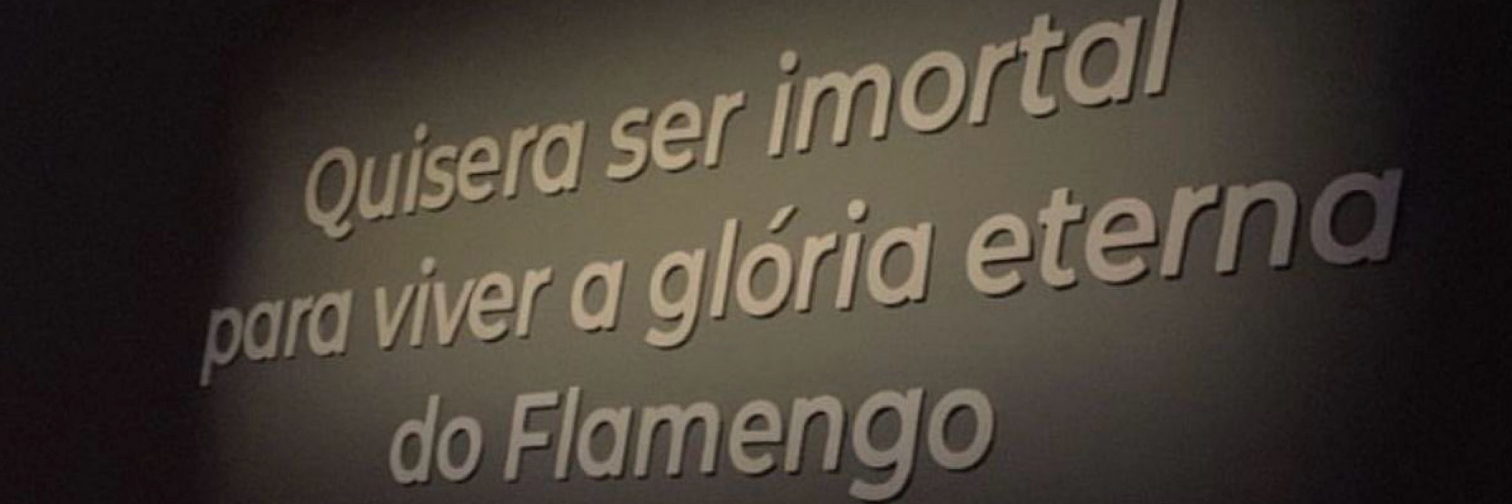 Pamella Mota ᶜʳᶠ