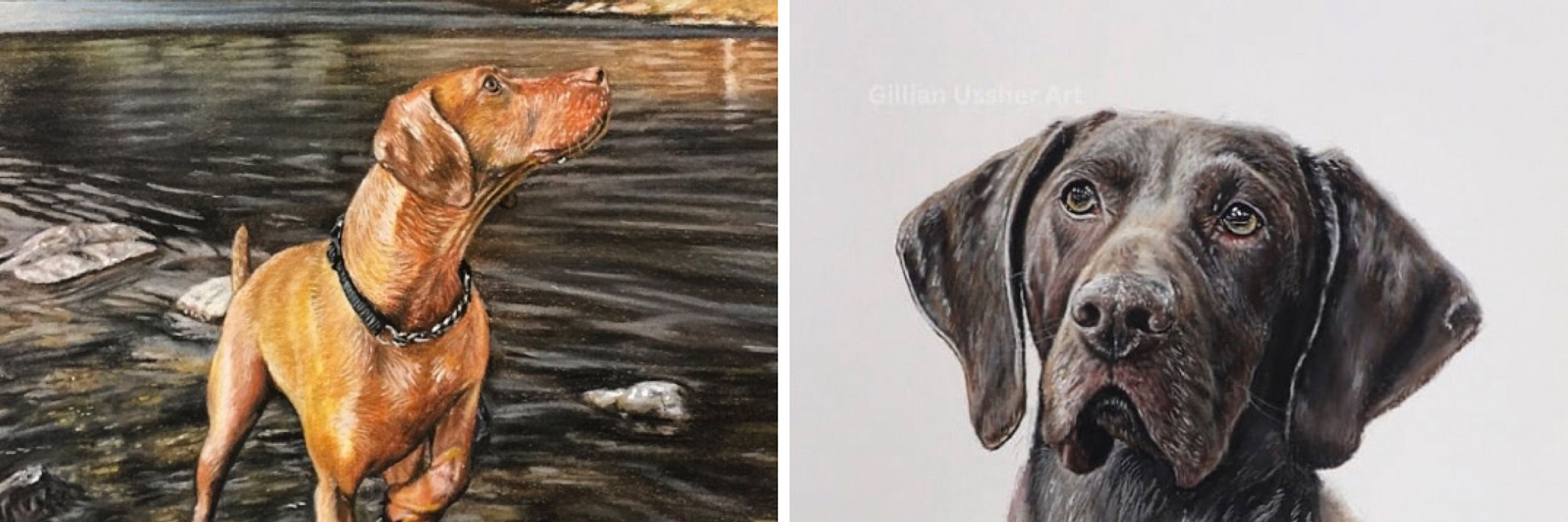 Gillian Ussher Art
