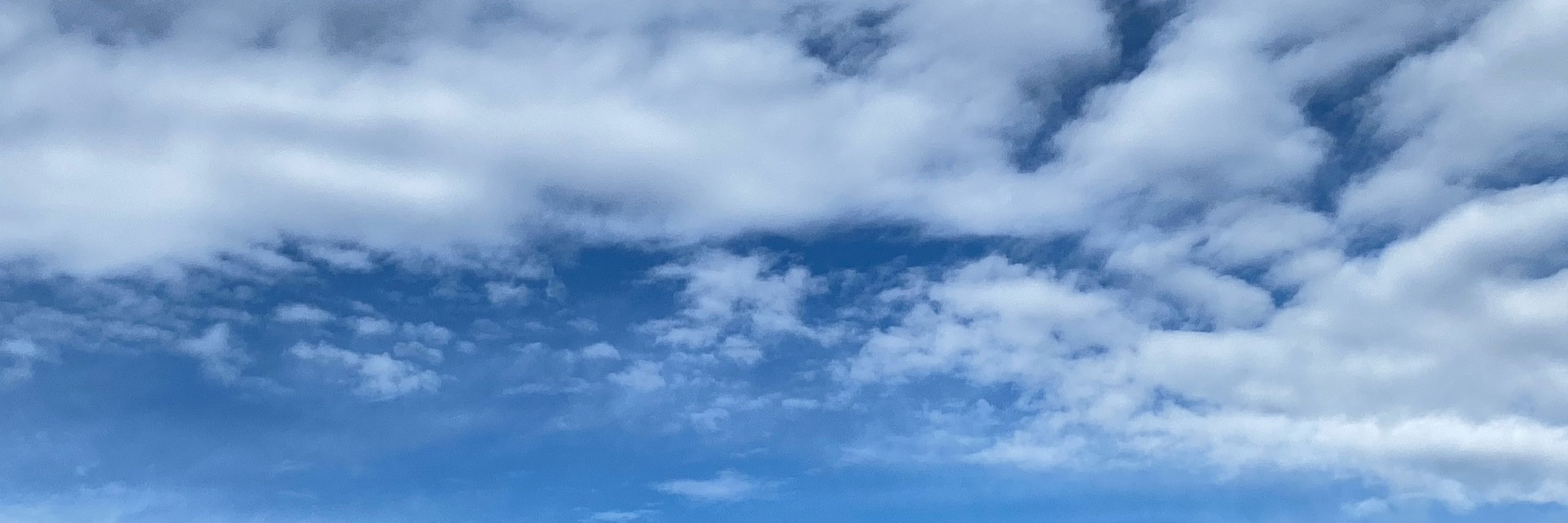 なぎ