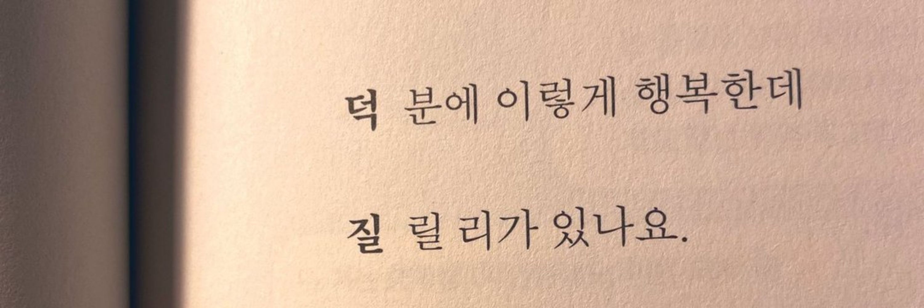 리노모찌 (리노)