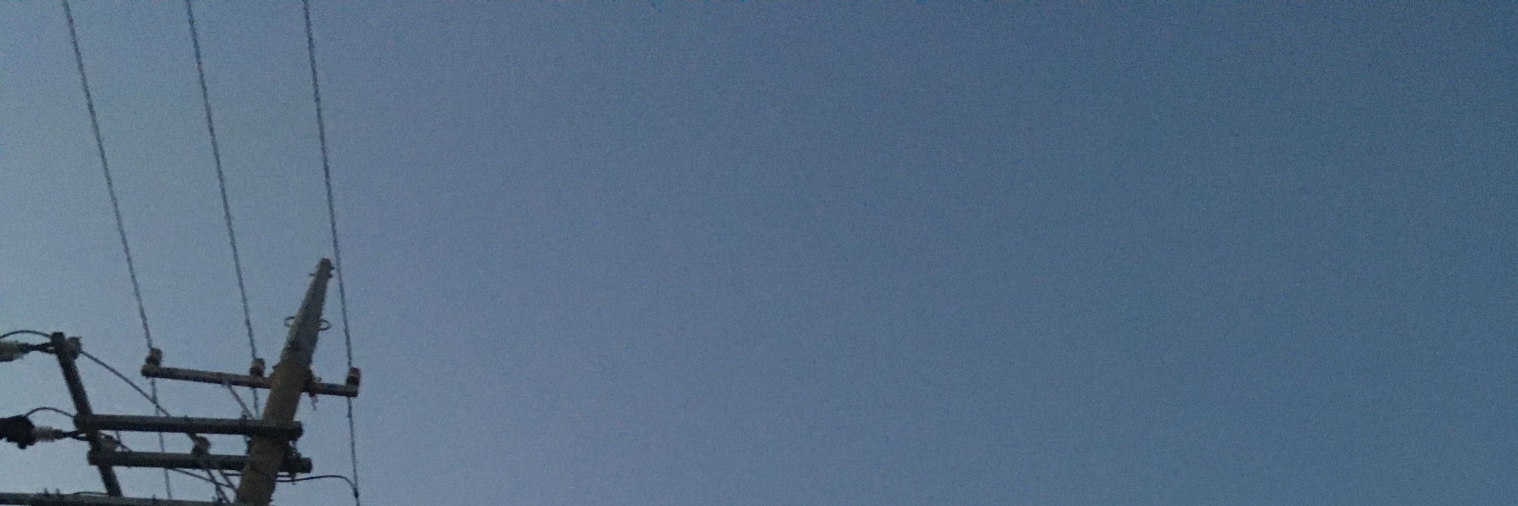 かつおぶし