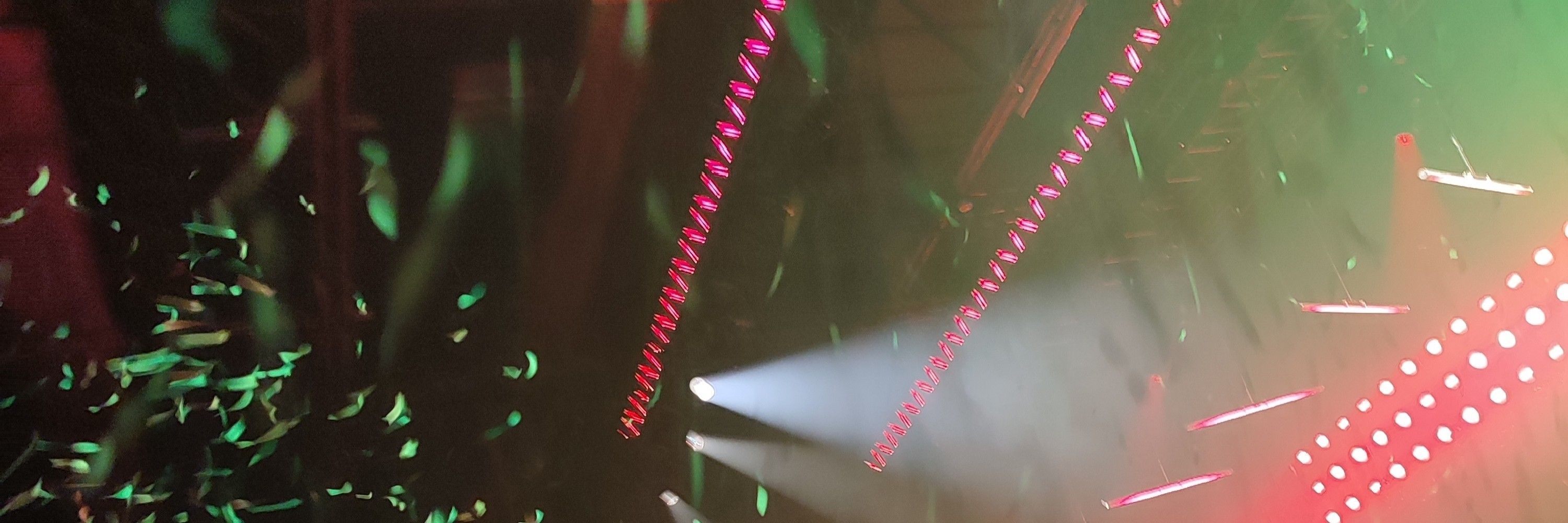 Miriam Alexandra Jäger 💚🌻🌈