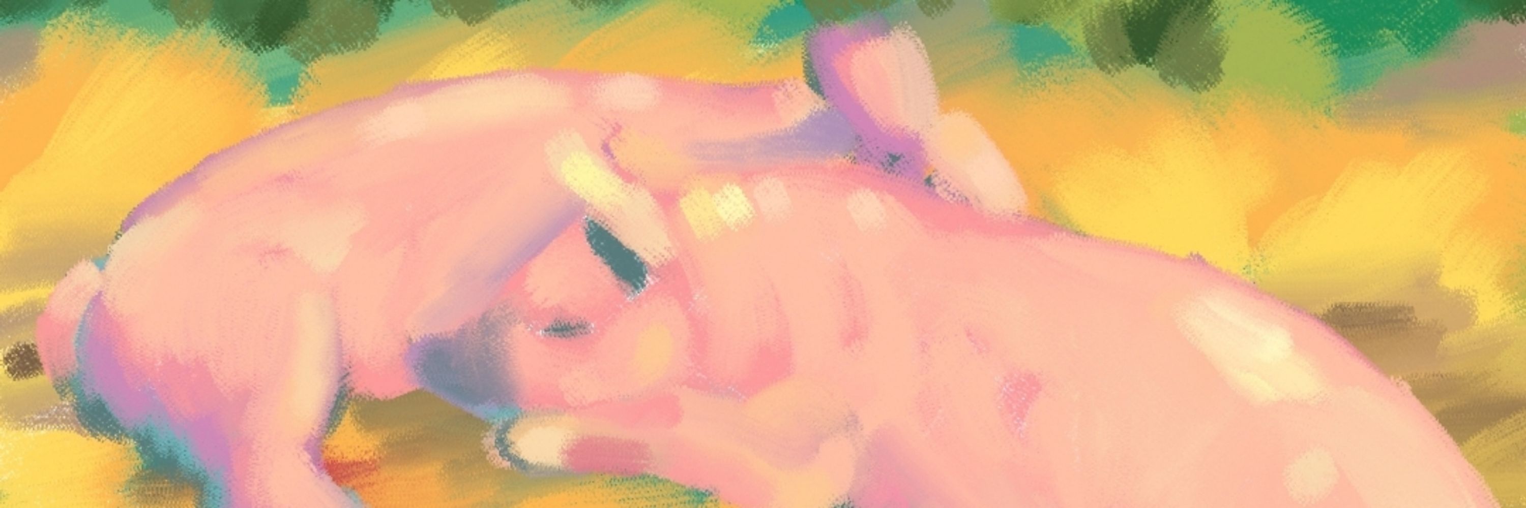 Cabbage Pig Studio