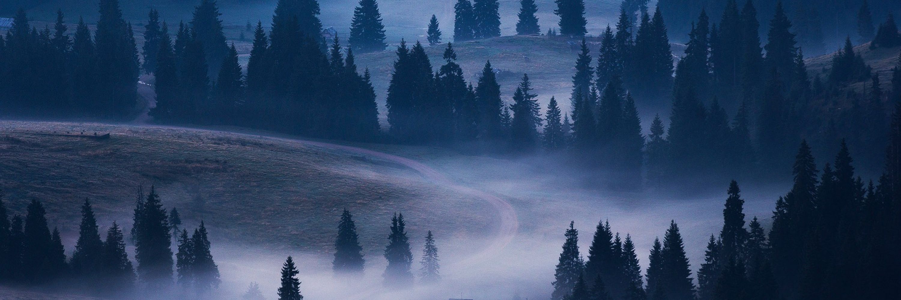 Cosmin Stan