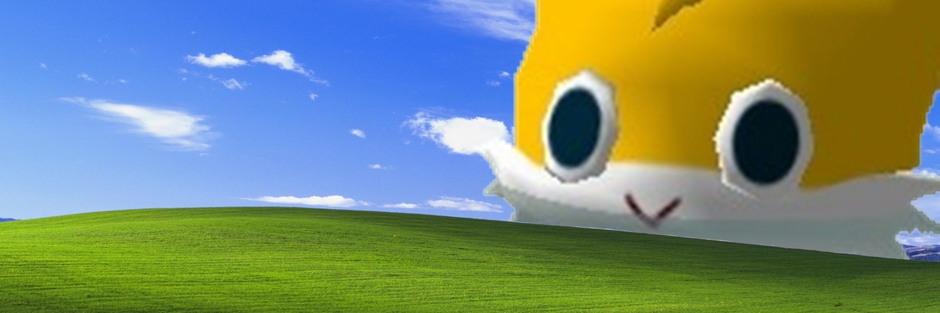 SeanJPtheCat