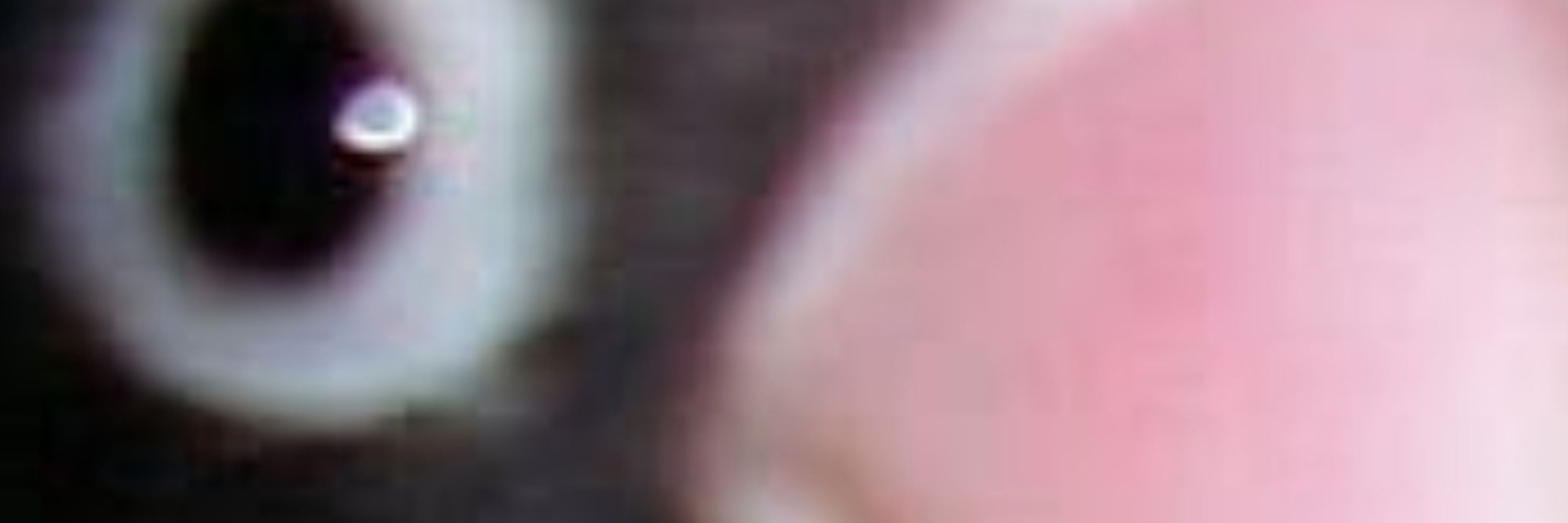 trueterra