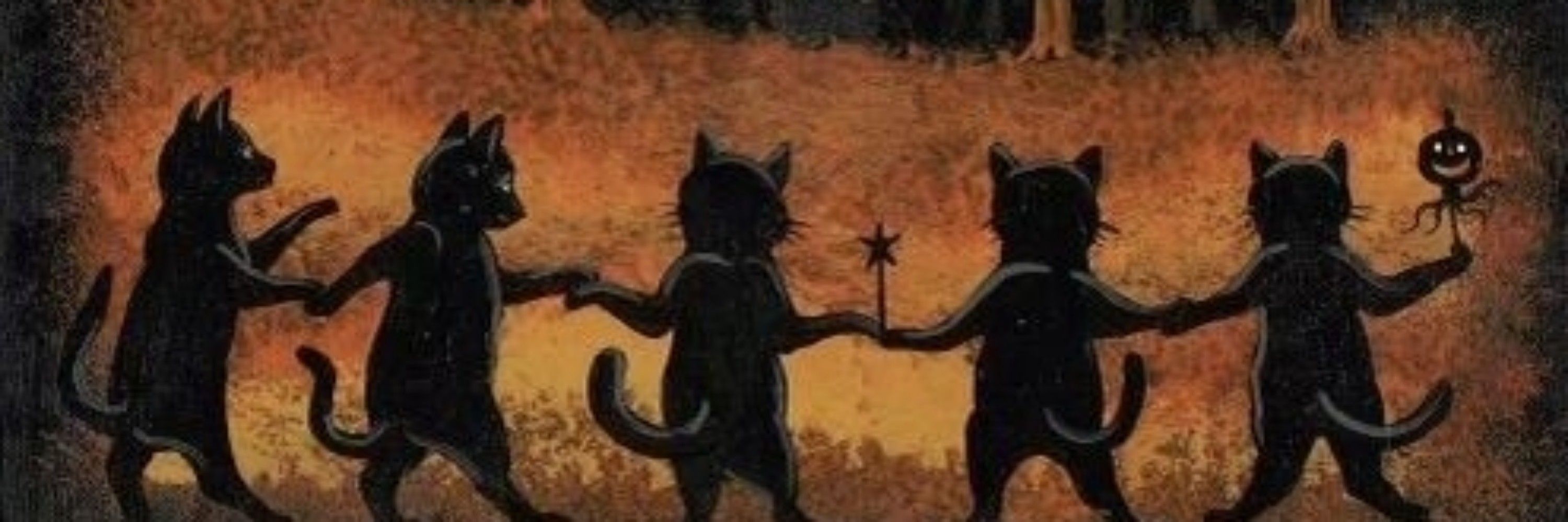 Gato Bruxo