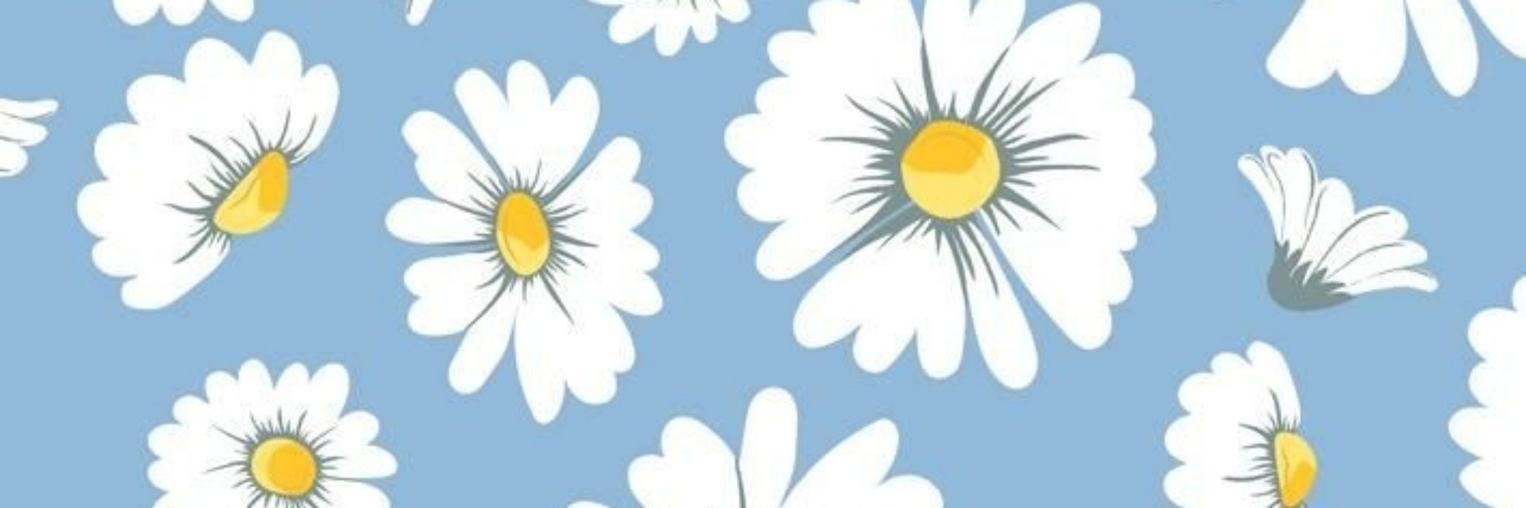 ᥉tᥱ ☆