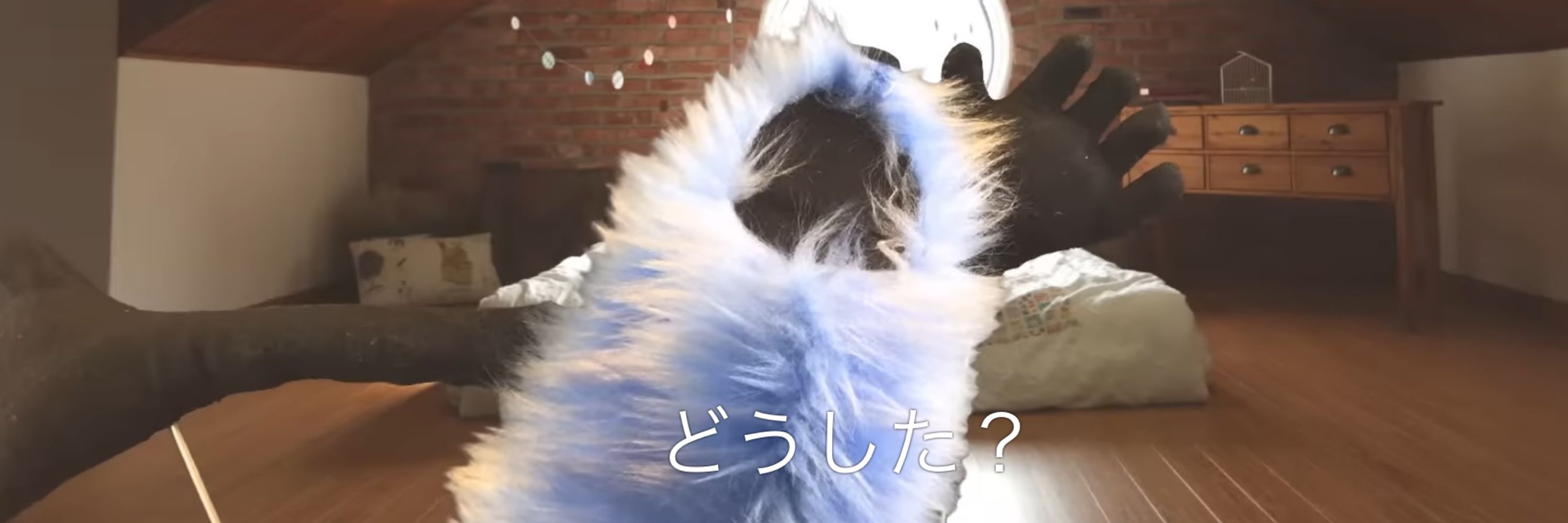 RURU