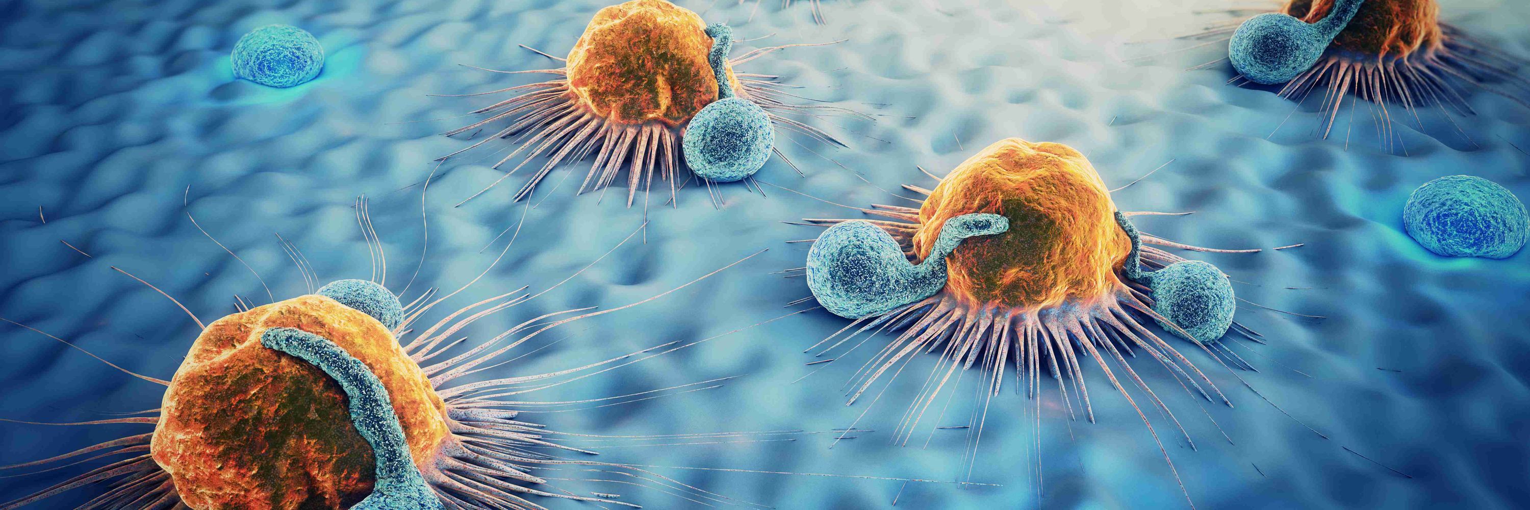 Netherlands Cancer Institute 