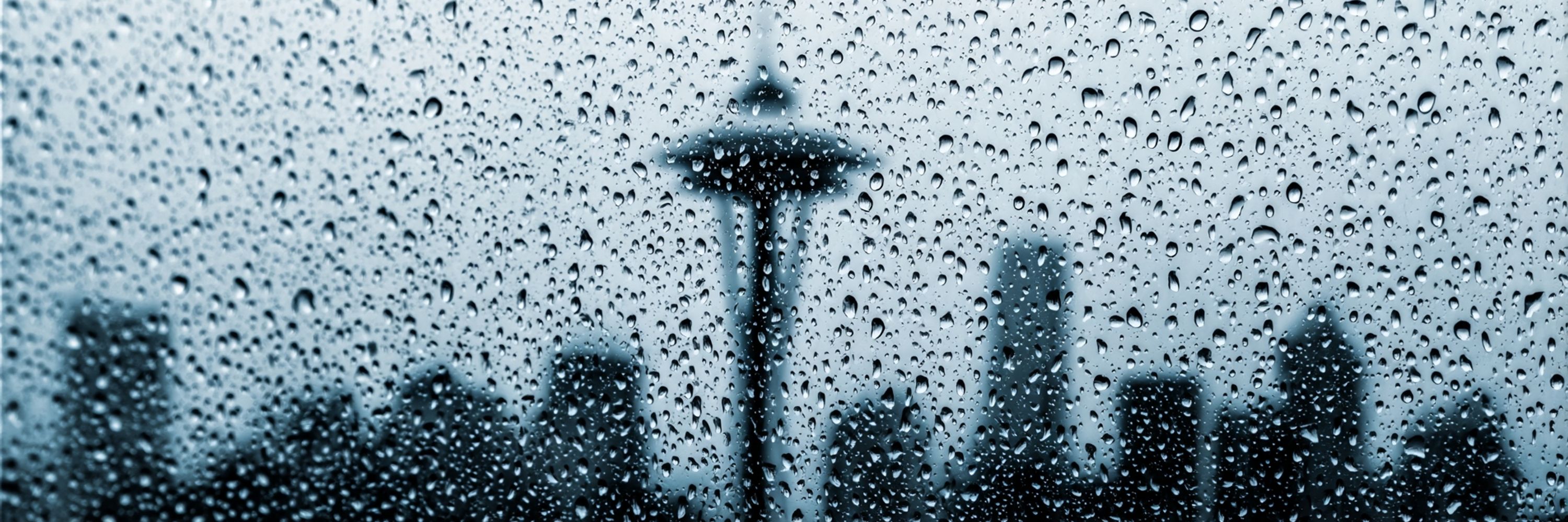 Skyvibe Seattle