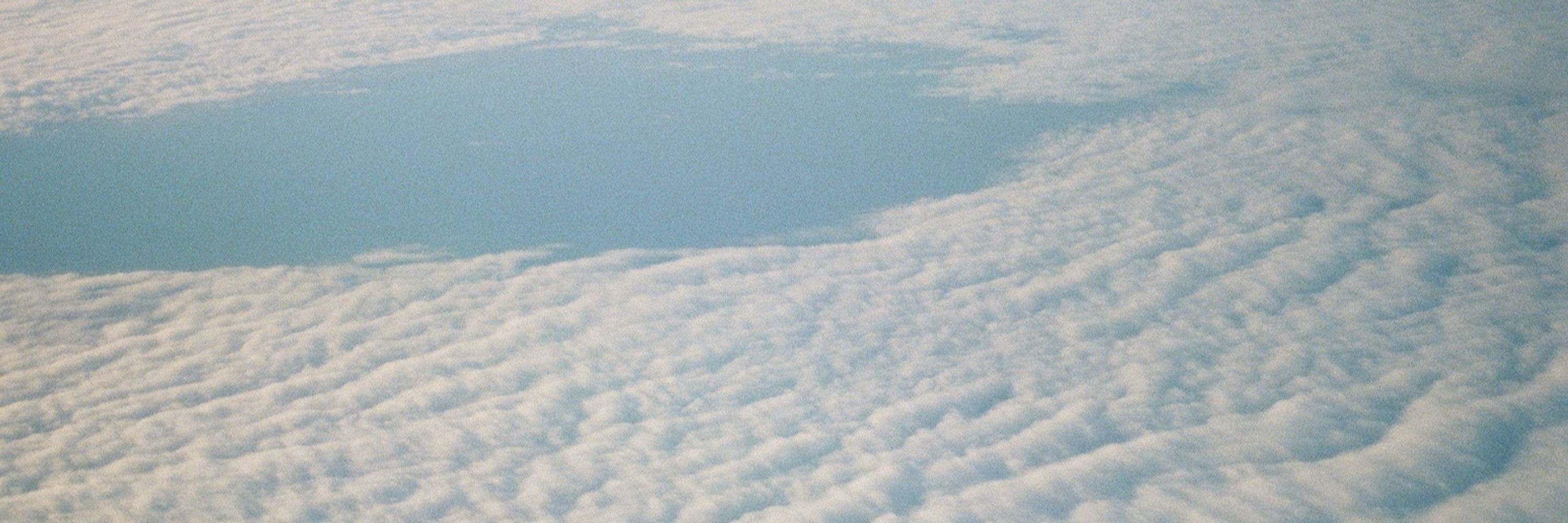 Angel Chen ▄ ▀