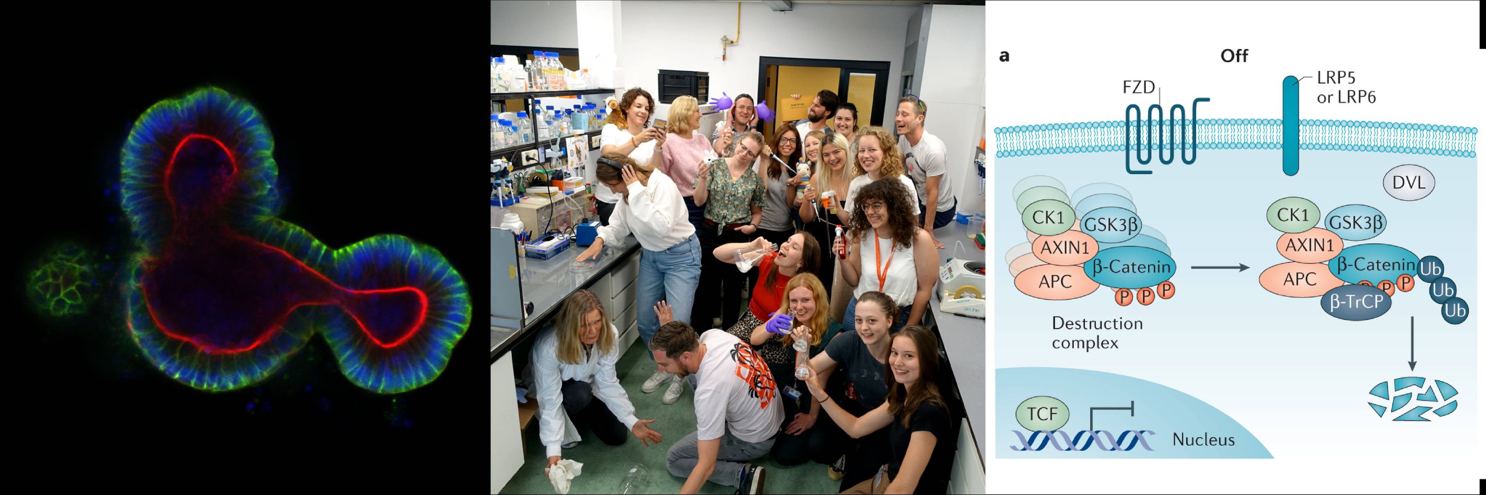 Maurice Lab