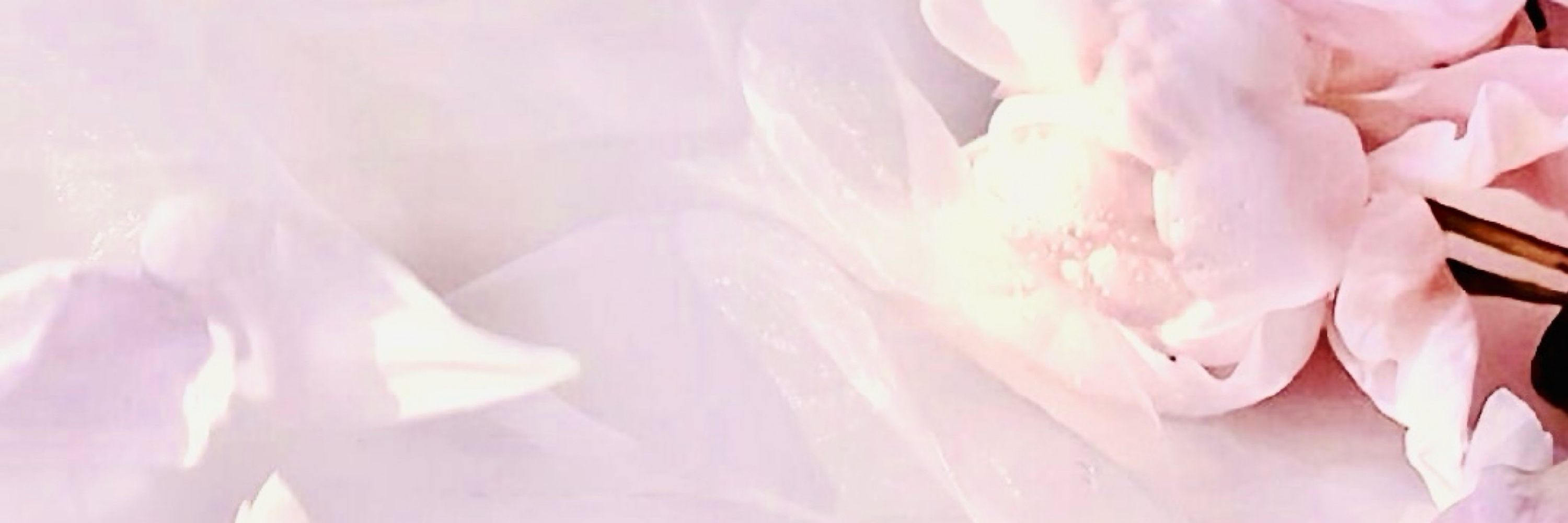🐥てぃーえす🌷
