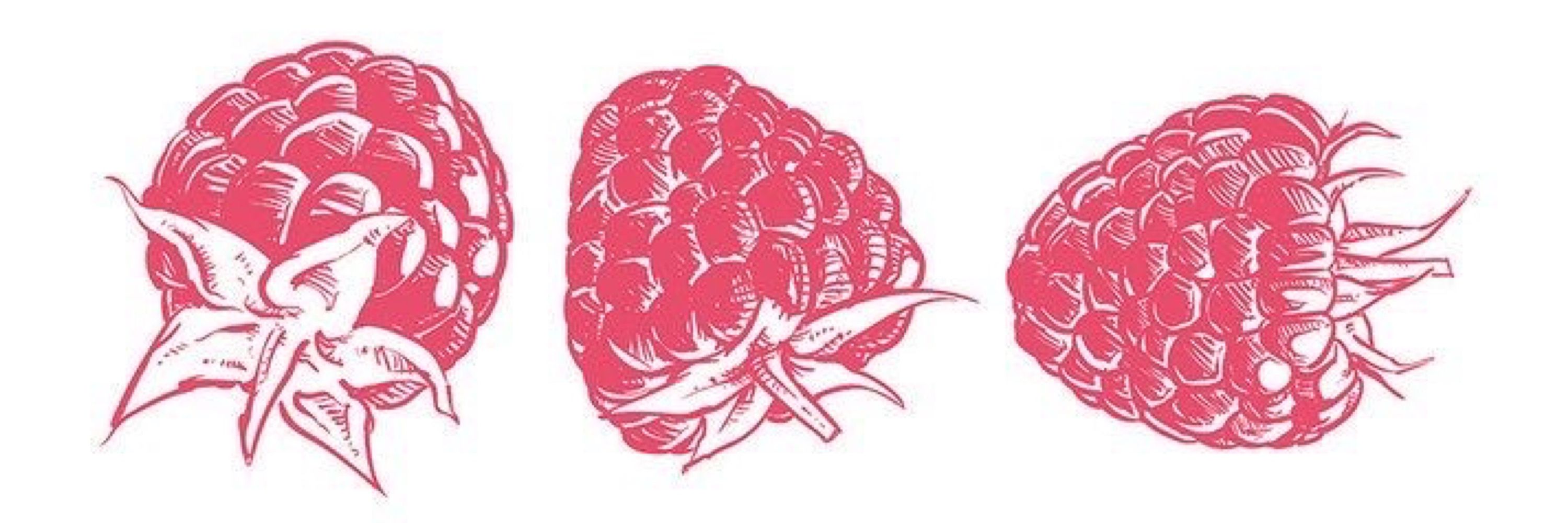 Solomiia Dobrianska 