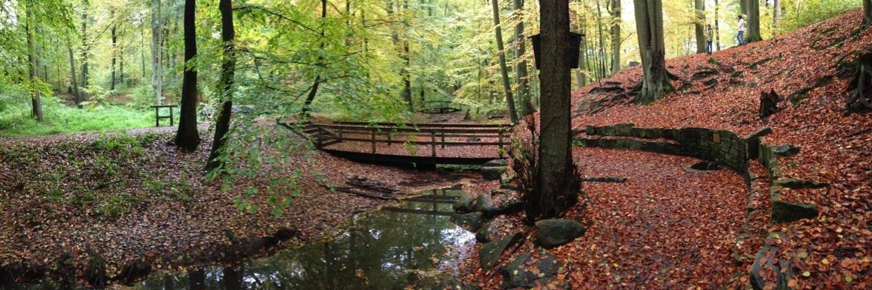 Mammut auf dem heißen Blechdach