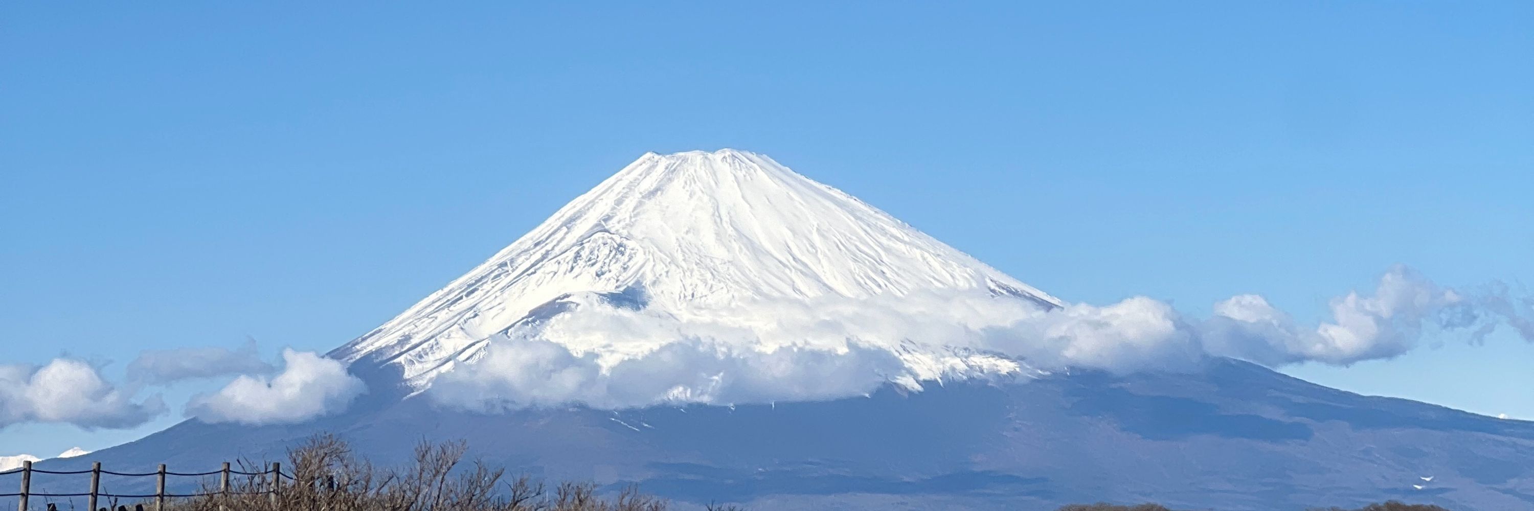 スルータン