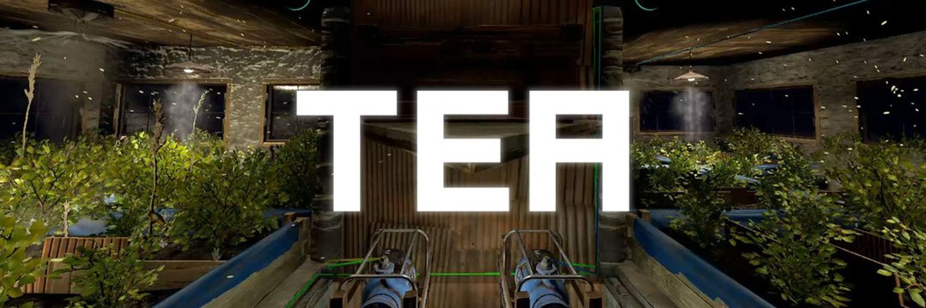 TeaGuyTom
