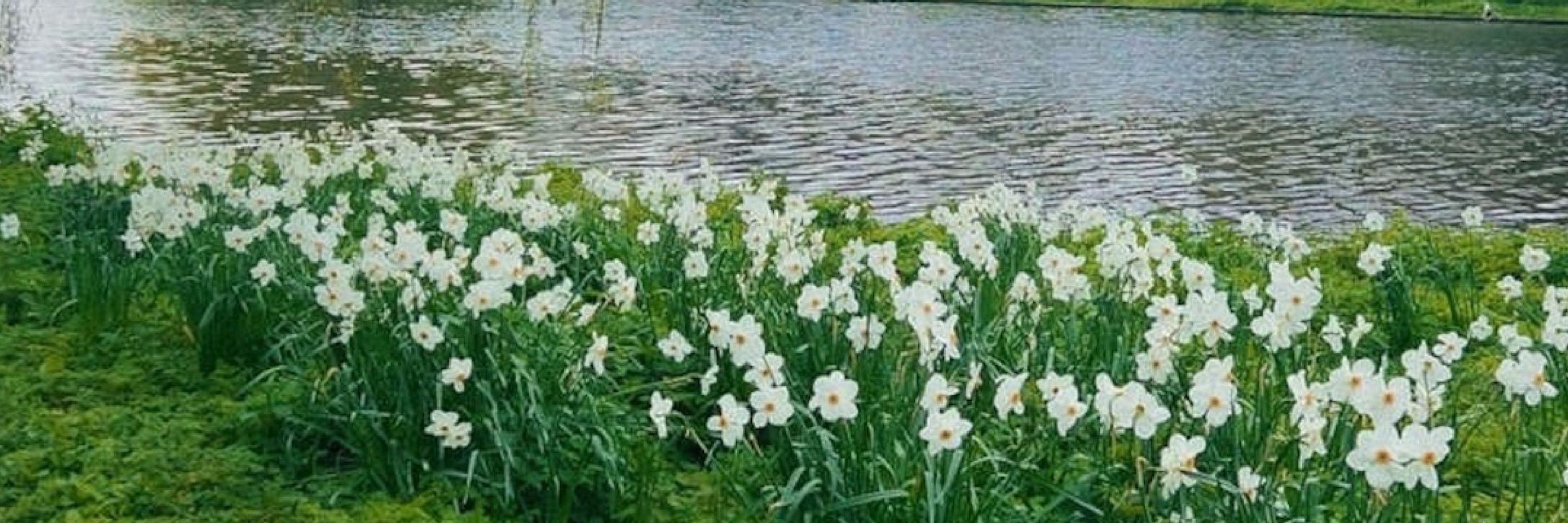 Rehza