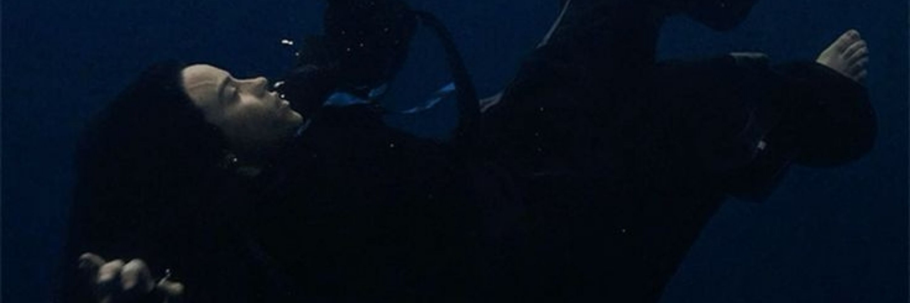sharkymoo