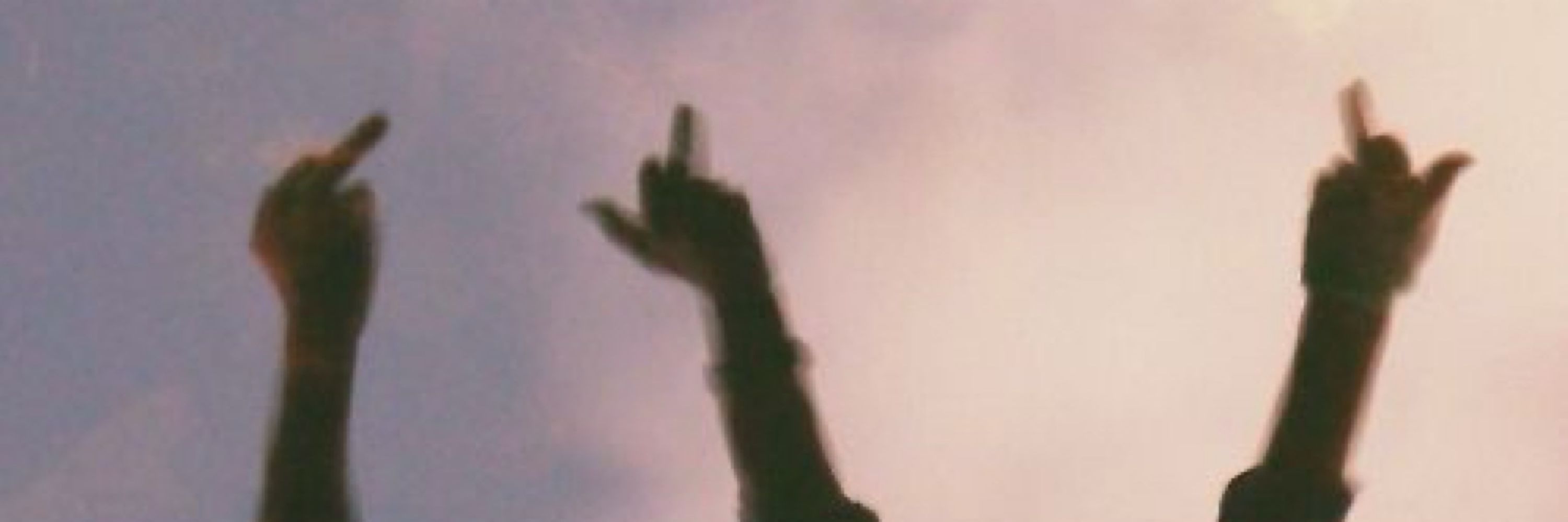 will 🌪️